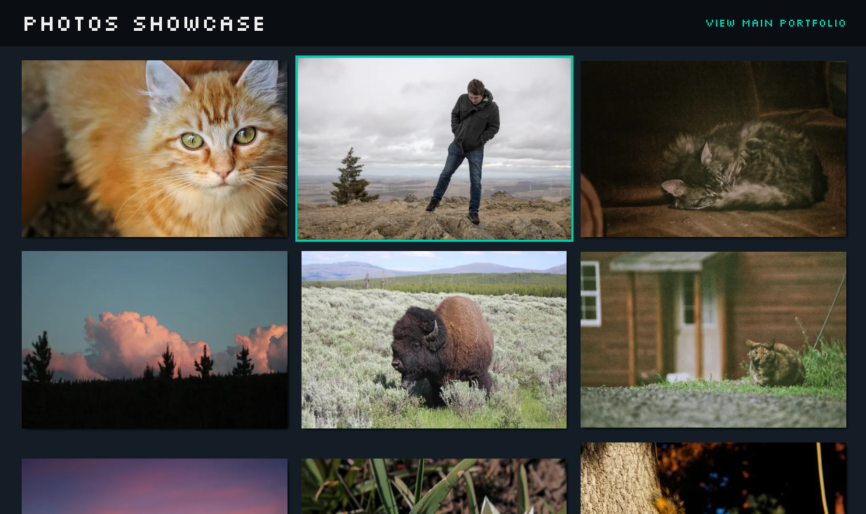 Screenshot of photography showcase site