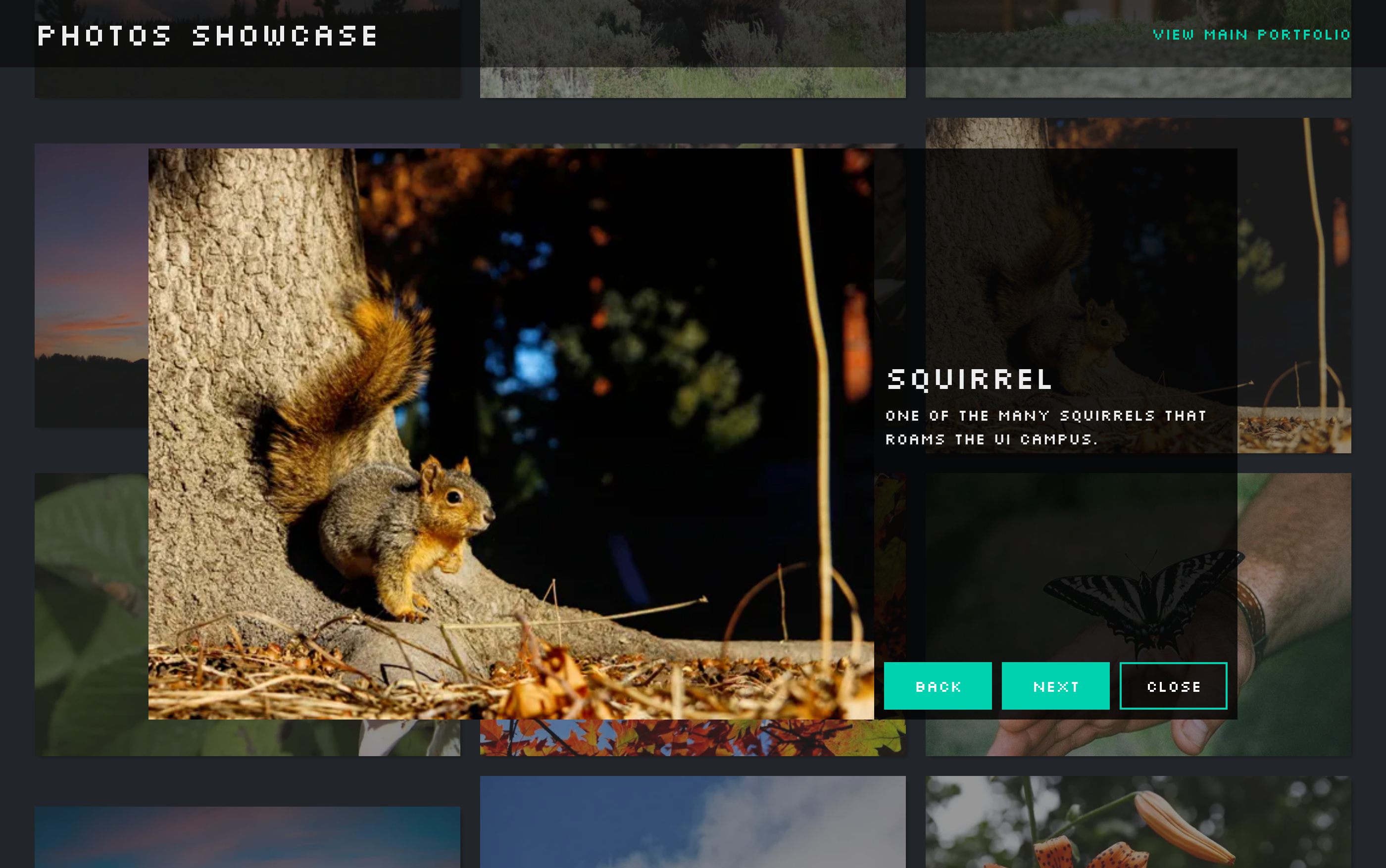 A popup for displaying my photo data. Shows title and description.